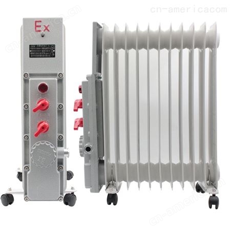 BDN58-2500W13片防爆电热油汀功率2.5KW13片 BDR-2000取暖器