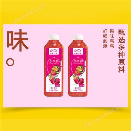 奇亚籽火龙果果汁500mlx15瓶复合果汁饮料精选原料