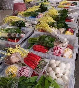 蔬菜集装箱 紫甘蓝高山娃娃菜圣女果西葫芦心里美 年货批发