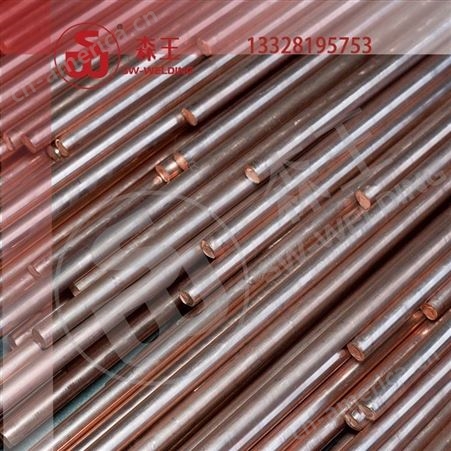  氧化铝铜 强化弥散铜 C15760 氧化铝铜棒/块/针/扁条 常州森王SW 非标定制