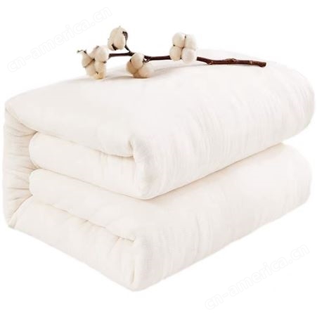 老弹匠幼儿园公司简约舒适学生被子5斤棉胎铺盖床上用品定制