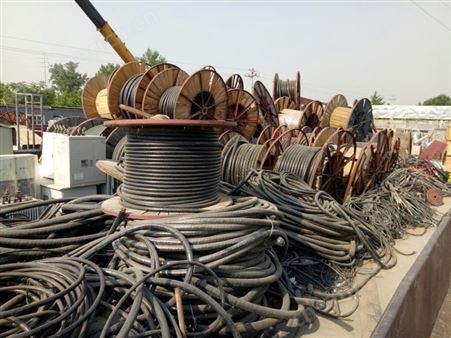 温州废旧电缆线回收行情 浙江温州高压电缆线回收 二手电缆回收