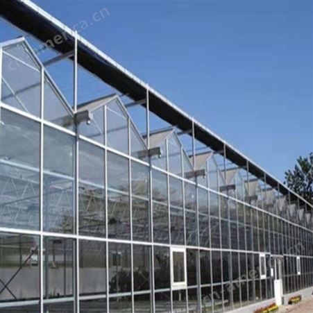薄膜连栋大棚 热镀锌带大棚钢架 定做多种规格连体温室联栋棚供应