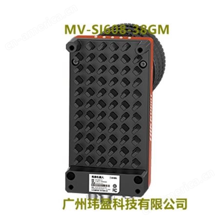 海康威视MV-SI608-38GM 130 万像素 X86 开放平台