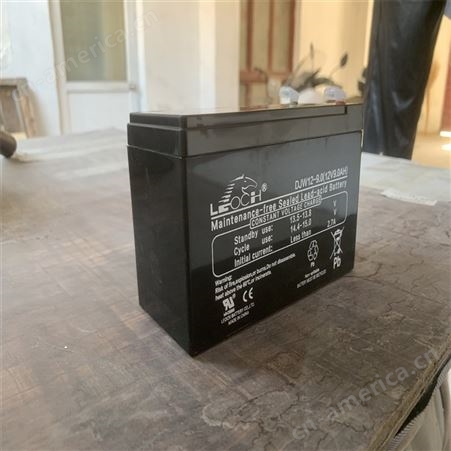 理士LEOCH UPS不间断电源专用免维护蓄电池12V9AH 铅酸电池DJW129