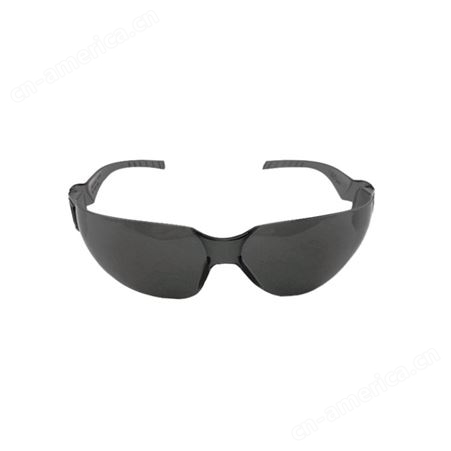 霍尼韦尔H99防雾防护镜 防目镜 眼脸部防护 性能高