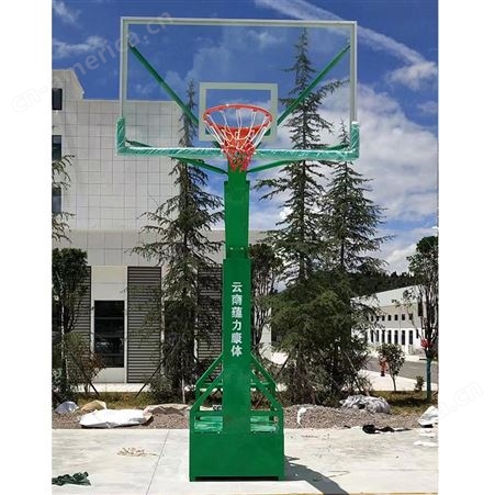 钢化玻璃板标准篮球架 平箱可移动 成人儿童款 支持定制 蕴力体育